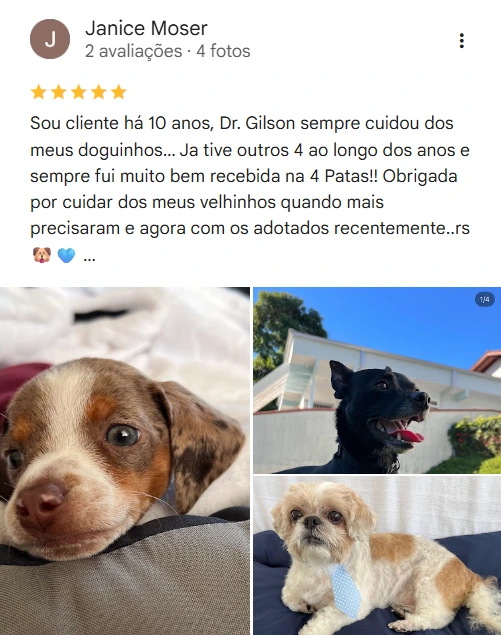 Avaliação real de tutor sobre a 4Patas