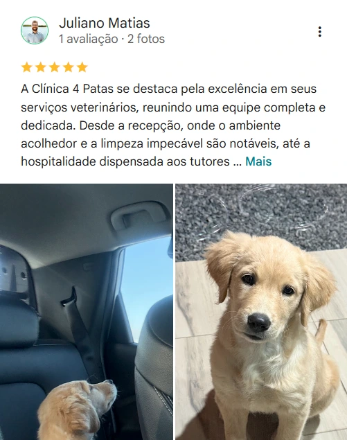 Avaliação real de tutor sobre a 4Patas