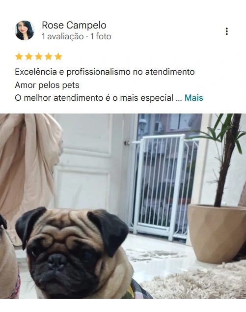 Avaliação real de tutor sobre a 4Patas