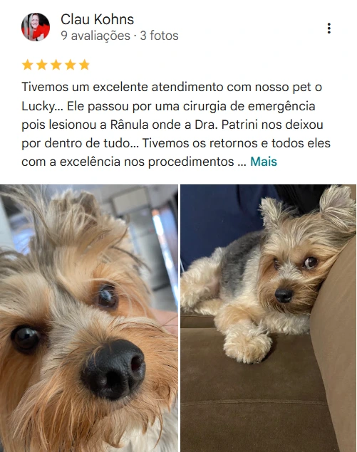 Avaliação real de tutor sobre a 4Patas