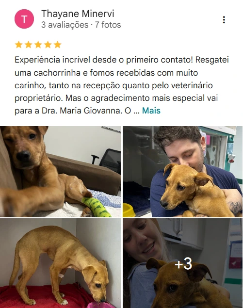 Avaliação real de tutor sobre a 4Patas